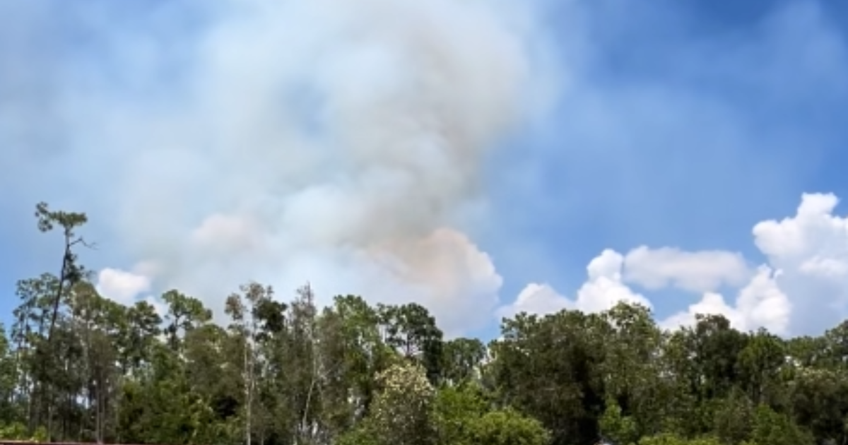 Dry June fuels 20-acre brush fire near Alico Road in Lee County cover image