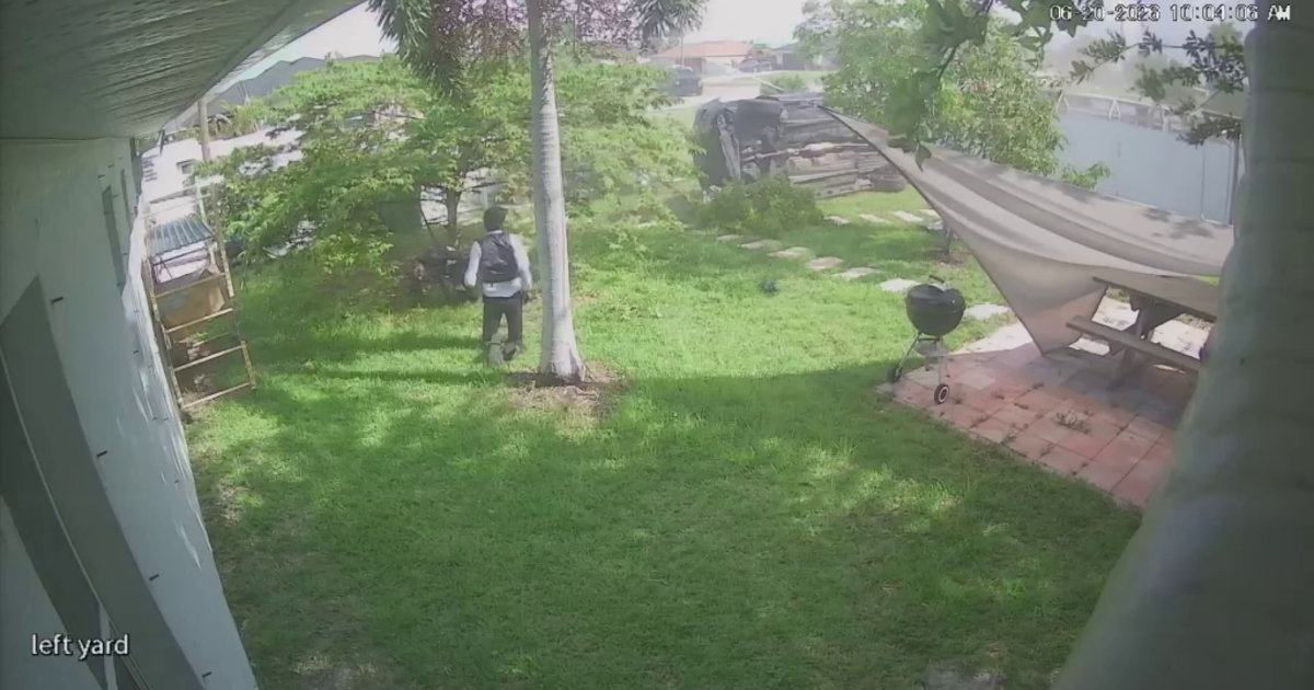 Security video caught a car crashing into a Cape Coral backyard and ejecting two men cover image
