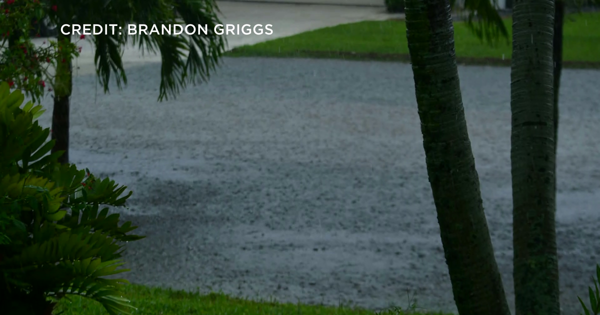 Cape Coral neighborhood floods after a quick storm dumps water near Del Prado cover image