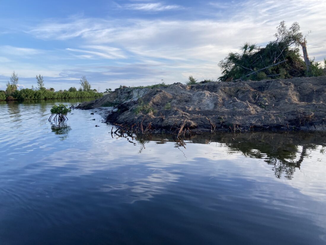 Army Corps stops shoreline clearing at Cape Coral's Seven Islands project cover image