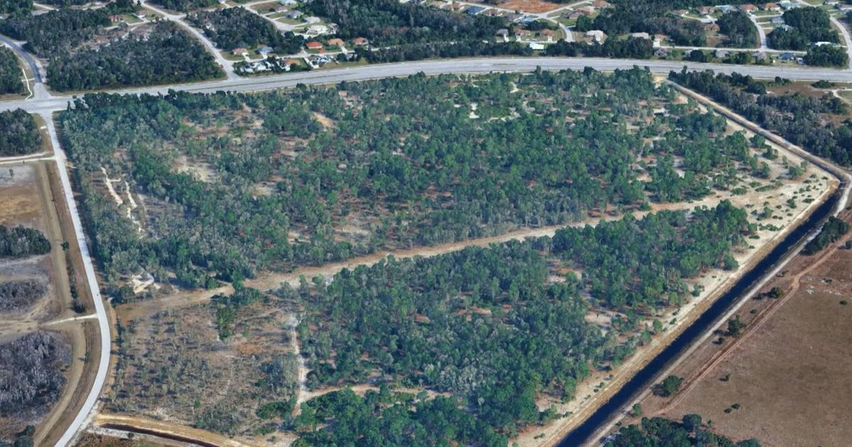 Major retailers planned for eastern Lee County project cover image