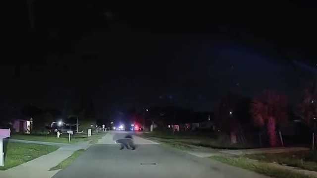Fort Myers police and FWC are hunting a bear near Barden and Towles cover image