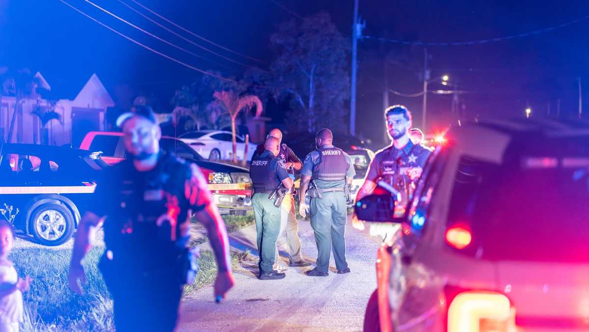 A Lehigh Acres argument turned into a stabbing overnight, deputies say cover image